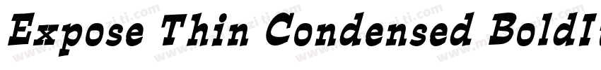 Expose Thin Condensed BoldItalic字体转换